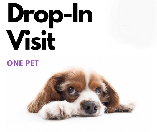 Drop In Visit (30 Min) 1 pet