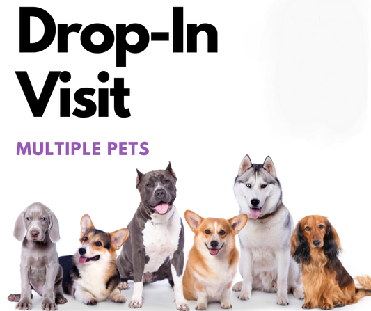 Drop-In Visit (30 Min) Multiple Pets