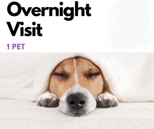 Overnight Stay 1 Pet